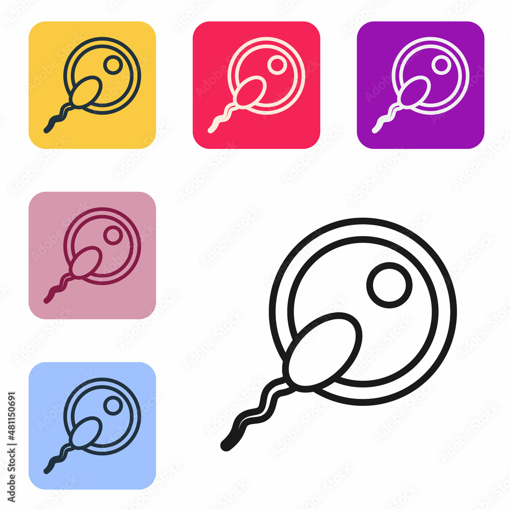 Wall mural Black line Sperm icon isolated on white background. Set icons in color square buttons. Vector