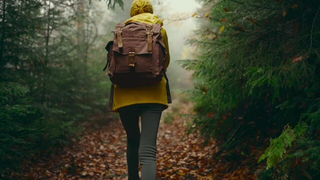slow motion camera follows Woman hiker in yellow raincoat with backpack. attractive happy young girl with backpack hiking in green woods at cold foggy rainy autumn day.