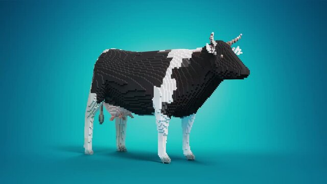 Toy blocks. Cow figure assembling from toy bricks on a blue studio background. 3d render animation.	

