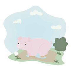 pig on the meadow