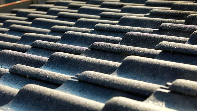 Vapore acqueo - Condensa che si alza lentamente dalle tegole del tetto durante il primo sole caldo al mattino
