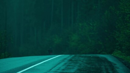 Gloomy misty landscape with road in the middle of dark forest at rainy foggy day. bike rides out by road. blurred clip