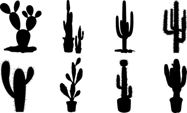 Cactus Silhouettes Cactus SVG EPS PNG