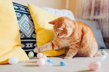 Ginger cat playing with Easter eggs at home. Pet having fun on couch. Spring holiday symbol