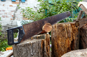 Saw for cutting wood. Preparation of firewood for the winter