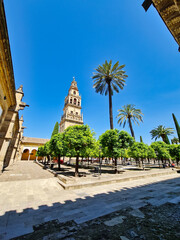 Patio de los Naranjos or "Courtyard of the Orange Trees", Mosque&ndash;Cathedral of C&oacute;rdoba - Spain
