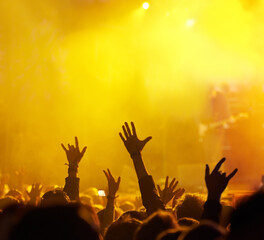 It's all about the fans. Shot of fans enjoying an outdoor music festival.
