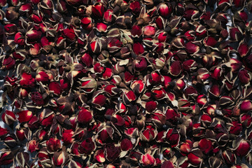 Dry rosebud background