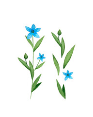 Fototapeta na wymiar Flax Linum blue flax flower watercolor. Set of individual elements. Isolated, white background. Watercolor vector illustration. Vector illustration