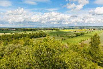 Fototapeta na wymiar Tree top view of a rural landscape with fields and horizons