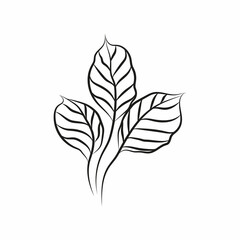 Leaf logo design, vector natural concept inspiration, leaf icon. Leaves
