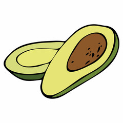 Avocado on white background. Natural organic nutrition. Healthy organic vegan food. Vector drawing.