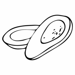 Avocado on white background. Natural organic nutrition. Healthy organic vegan food. Vector drawing.
