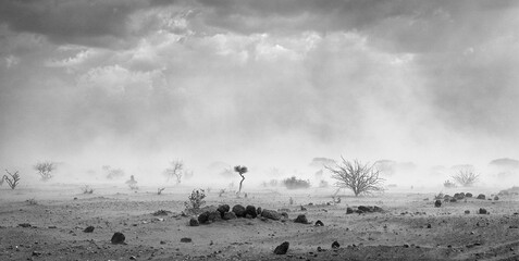 Dusty Sandstorm in African Desert black white grey