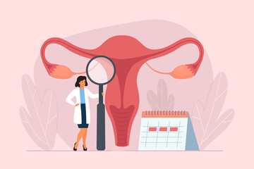 Female menstrual cycle. Female doctor tracking menstrual cycle. Vector illustration of female reproductive system.