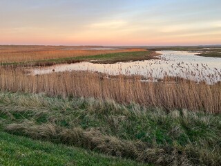 Landscape of beautiful sunset over marshland at nature reserve water pools and reeds on the coast...