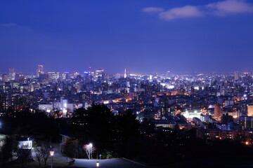 Obraz na płótnie Canvas 旭山記念公園から見た札幌の夜景