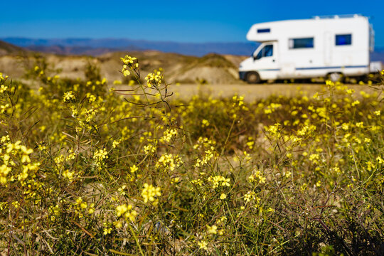 Yellow field and caravan camping