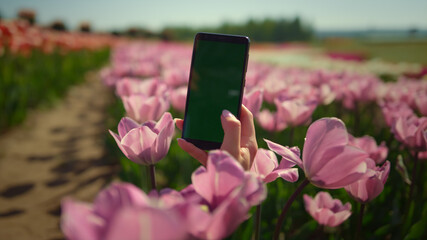 Unknown woman making photo at phone in flowers. Cellphone screen in woman hand.