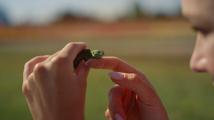 Closeup green lizard in female hands outdoor. Pretty girl face and little lizard