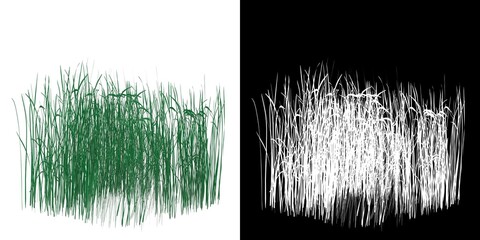 3D rendering illustration of a patch of high grass