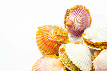 Mini coquilles St. Jacques, Natural scallop shells filled with Patagonian scallops and Thermidor sauce topped with a ciabatta breadcrumb topping