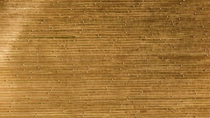 view of the field with sheaves