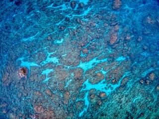 Blue coral reef .