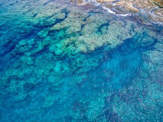 Blue coral sea ,Taiwan
