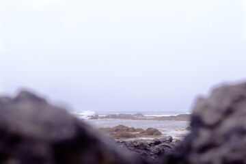 Coastline with black volcanic rocks and orange sea ​​moss on a rainy day. Ytri Tunga beach in Sn&aelig;fellsj&ouml;kull National Park at Snaefellsnes Peninsula, Iceland