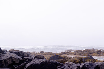 Coastline with black volcanic rocks and orange sea ​​moss on a rainy day. Ytri Tunga beach in Sn&aelig;fellsj&ouml;kull National Park at Snaefellsnes Peninsula, Iceland