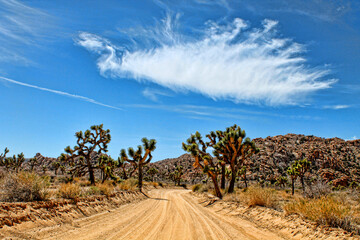 Looking down a long dirt road in Joshua Tree desert Park in California