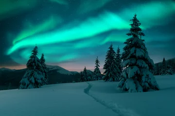 Fototapeten Aurora borealis. Northern lights in winter forest. Sky with polar lights and stars. Night winter landscape with aurora and pine tree forest. Travel concept © Ivan Kmit