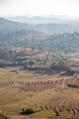 Panoramic view of valley with rice terraces