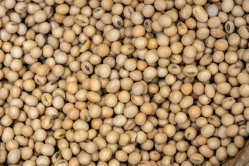 Soy bean mature seeds, Flat lay top view pile of Soybeans, dried soybeans texture and background.