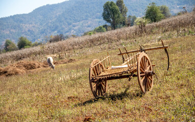 Fototapeta na wymiar Traditional wooden cart in a field