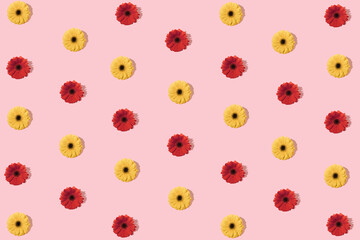 Valentine bloomy pattern with red and yellow daisy flowers on pastel pink backgorund. Romantic flat lay. Spring concept visual.