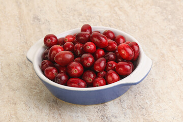 Ripe sweet tasty cranberry in the bowl