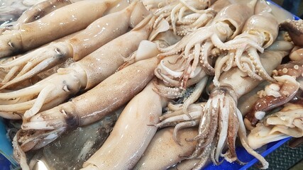 Squid in ice tray at the fresh food market.