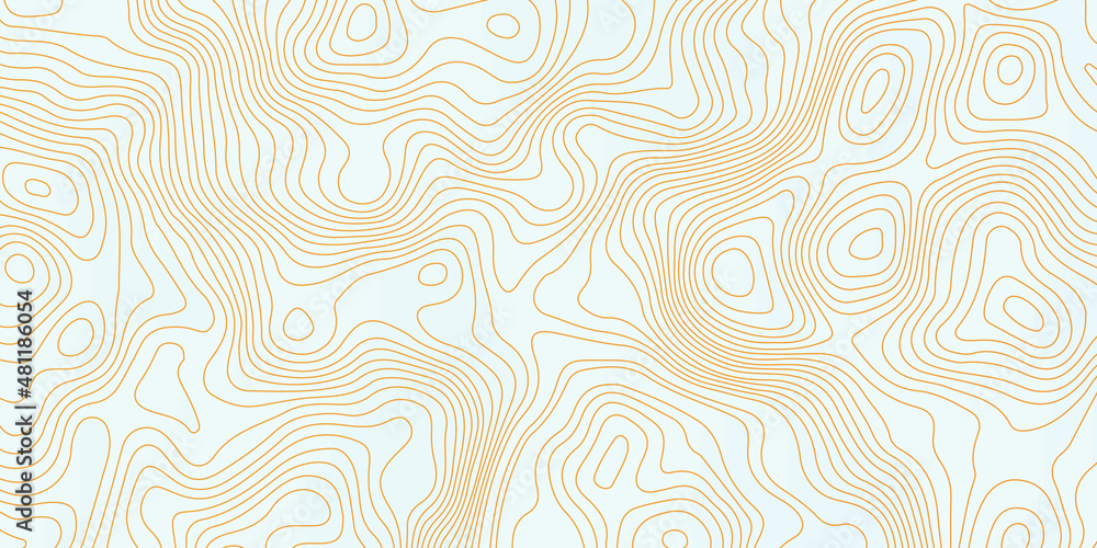 Poster white wave paper curved reliefs abstract background, abstract topographic contours map background, v