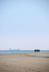 Huge ship passing the beach