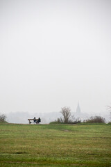Couple sitting on bench