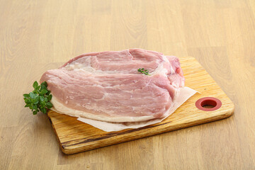 Piece of the raw pork meat