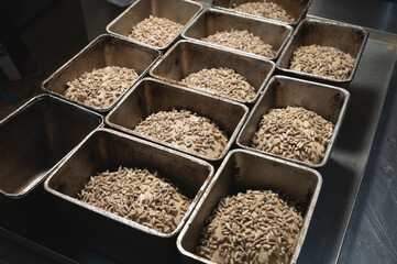 The dough for baking bread lies in bread metal forms. Dough sprinkled with sunflower seeds. Bread before baking