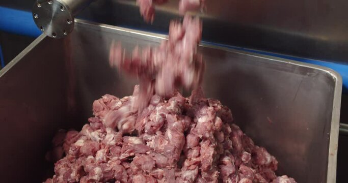 Large pieces of minced meat come out of the meat grinder anto an iron container