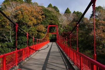 千葉県泉自然公園にある真っ赤な橋