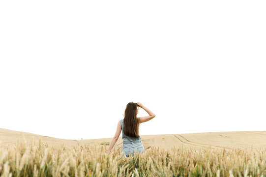 a young girl is in a huge wheat field and touches the ears of wheat. organic wheat. large argar field. agricultural business. girl walking on wheat