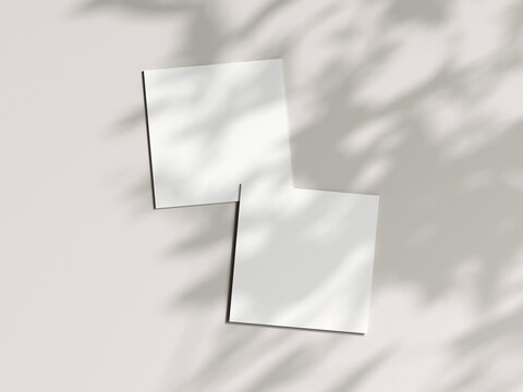 Two square cards mockup in boho, invitation mockup, greeting card on beige background, 3d render