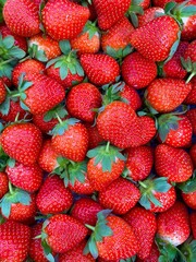 Close-up photo of strawberry in market. Fruit background and texture. Healthy life and harvest.