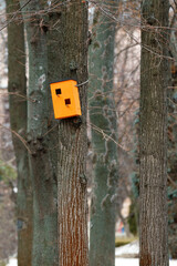 A twostory orange colored birdhouse on a tree in a city park.